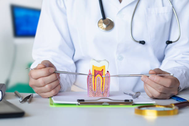 Best Emergency Dental Services for Seniors in Summit, NJ